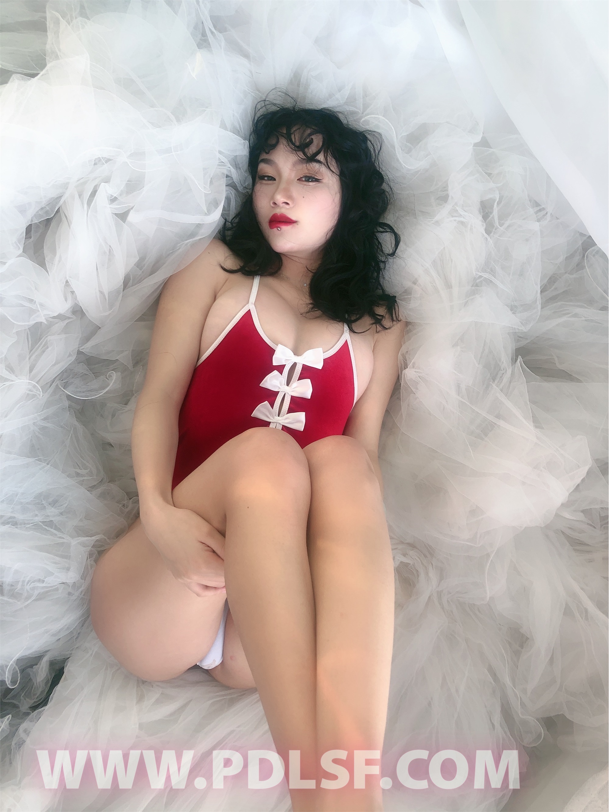 PDL潘多拉 2020.02.03 专辑No.276